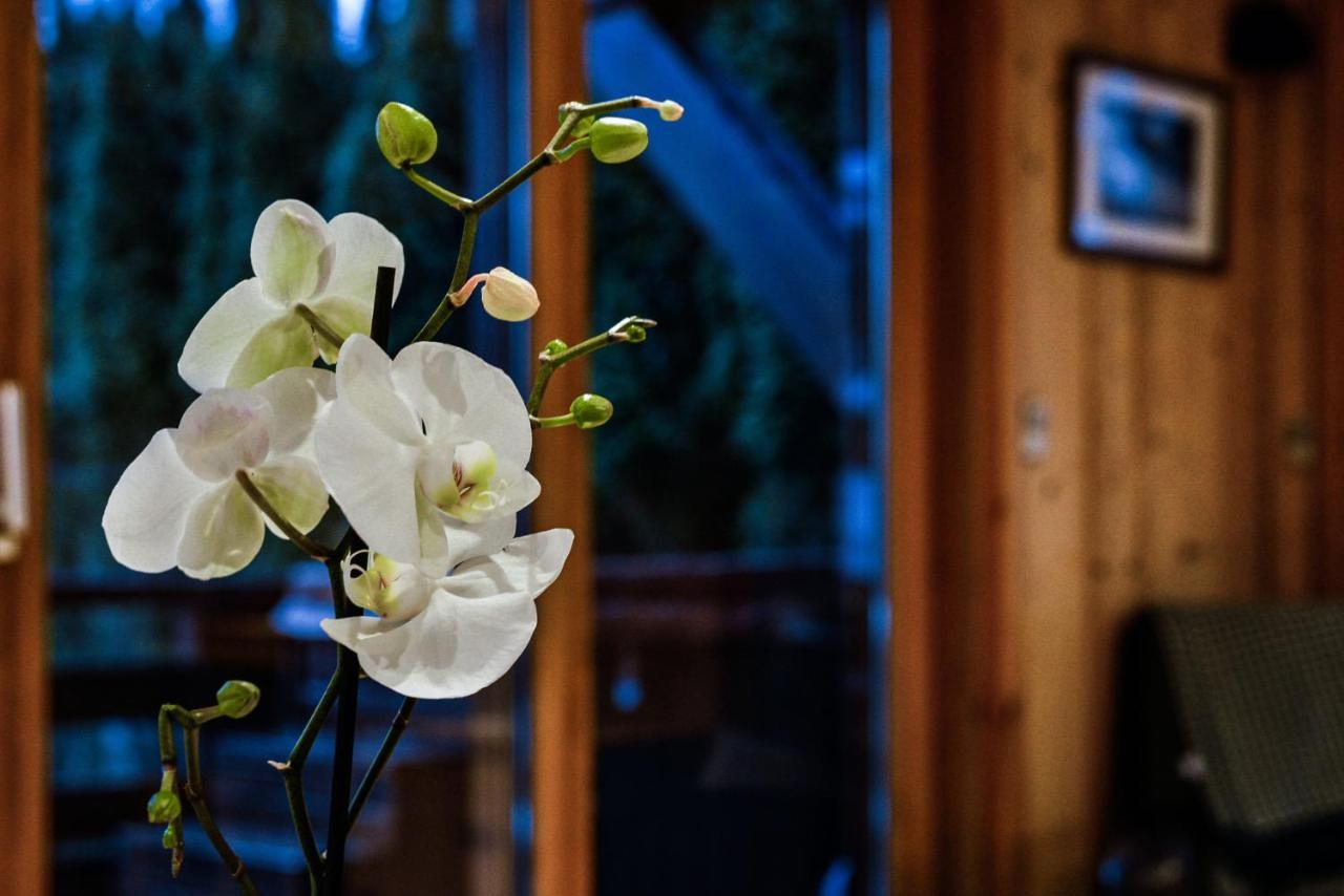 Yeti Lodge Rooms Argentiere Exterior photo